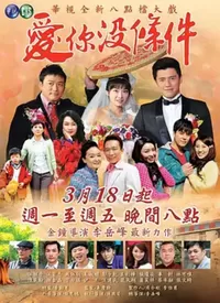 爱你没条件海报