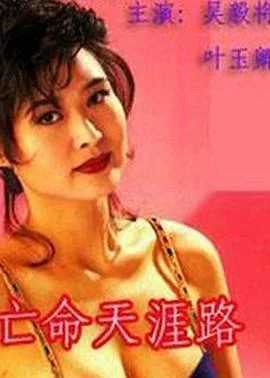 亡命天涯路(国语)海报