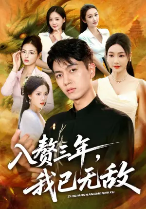 入赘三年,我已无敌海报