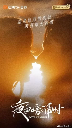 夜色暗涌时夜色夫妇撩欲版海报