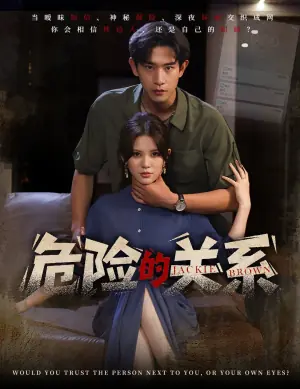 危险的关系海报
