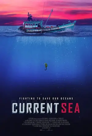 当前海域海报