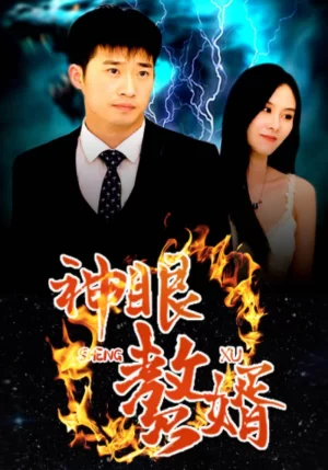 神眼赘婿海报