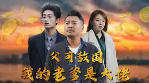 父可敌国我的老爹是大佬海报