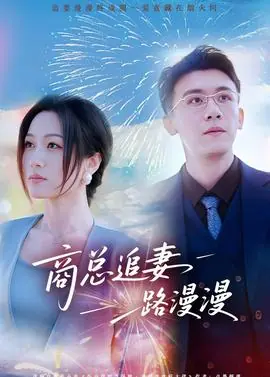商总追妻路漫漫海报