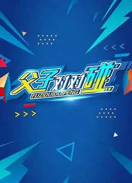 父子对对碰海报