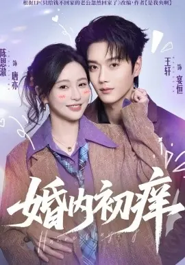婚内初痒海报