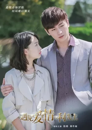 遇见爱情的利先生TV版海报