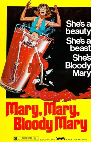 玛丽玛丽血玛丽海报