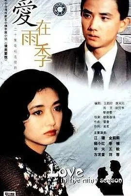 爱在雨季海报