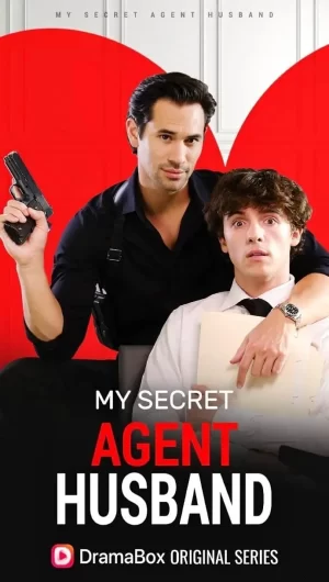 我的秘密特工丈夫海报