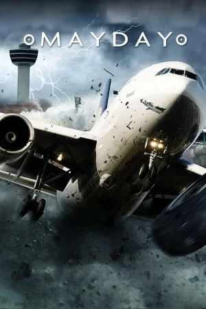 空中浩劫第二十五季海报