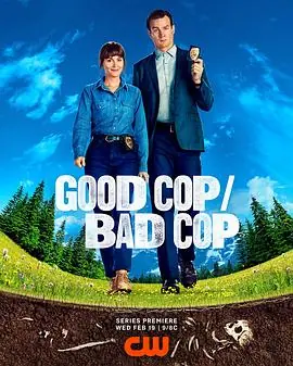 好警察/坏警察海报