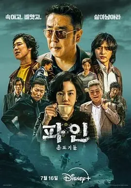 下流大盗海报