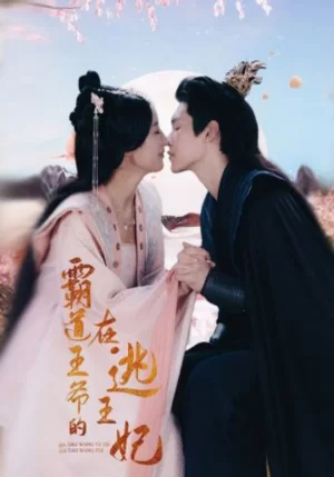 霸道王爷的在逃王妃海报