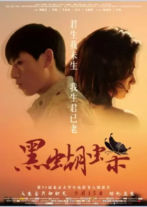 黑蝴蝶海报