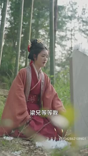 我要嫁给祝英台海报