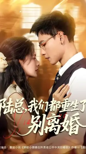 陆总,我们都重生了!别离婚海报
