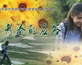 青春的应答海报