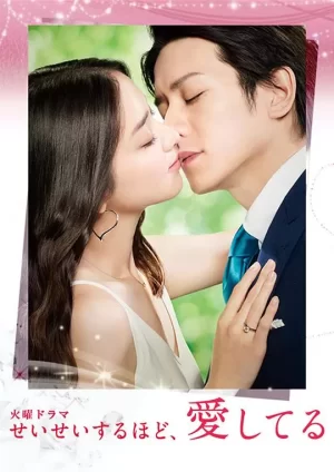 毫不保留的爱海报