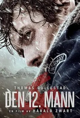 第十二个人Den12.mann海报
