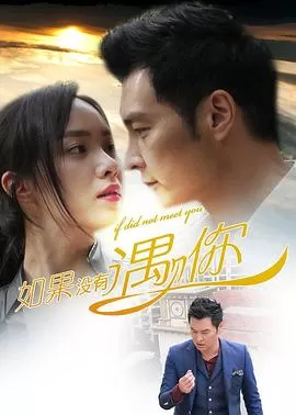 如果没有遇见你[电影解说]海报