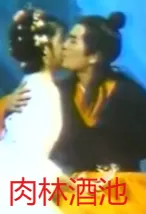 肉林酒池海报