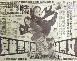 女黑侠血战黑龙党(粤语)海报