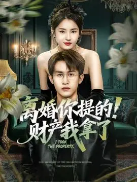 离婚你提的!财产我拿了海报