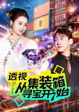 透视从集装箱寻宝开始海报
