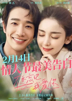 不要忘记我爱你海报