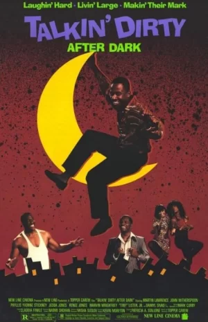 天黑后说脏话海报