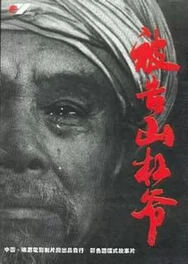 被告山杠爷[电影解说]海报