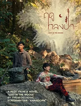 爱在森林里海报