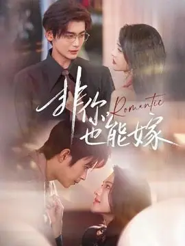 非你,也能嫁海报