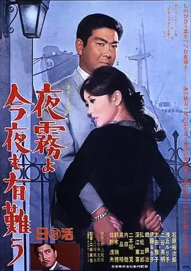 夜雾啊今晚也要谢谢你海报