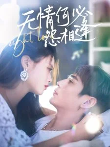 无情何必怨相逢海报