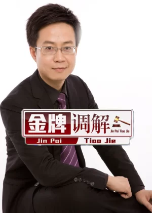 金牌调解2013海报