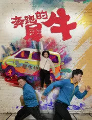 奔跑的犀牛海报