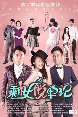 剩女脱单记海报