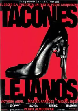 情迷高跟鞋Taconeslejanos海报