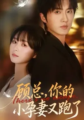 顾总,你的小孕妻又跑了海报