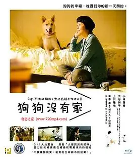 为你取名的那一天犬に名前をつける日海报