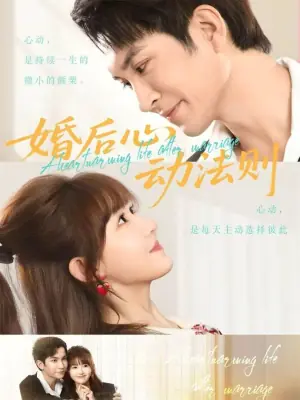 婚后心动法则海报