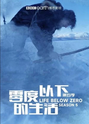 零度以下的生活第五季海报
