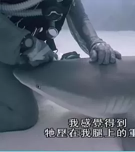 重访蓝色星球海报