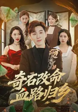 奇石改命血路归乡海报