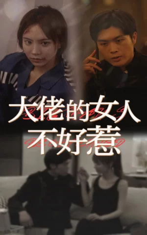 大佬女人不好惹海报