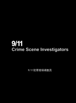 911犯罪现场调查员海报