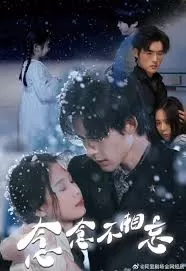 念念不相忘海报